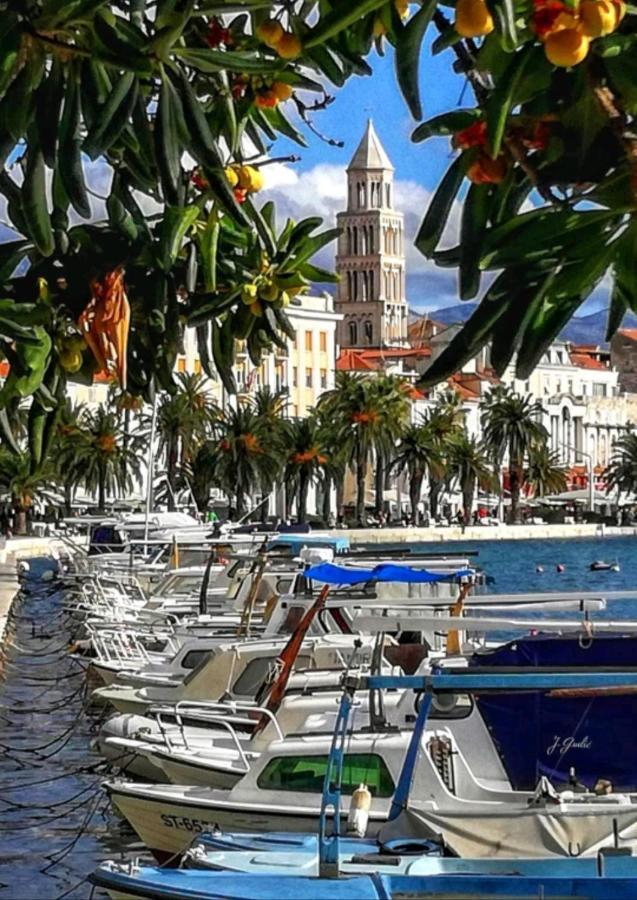 Apartment Vlatka Split Bagian luar foto
