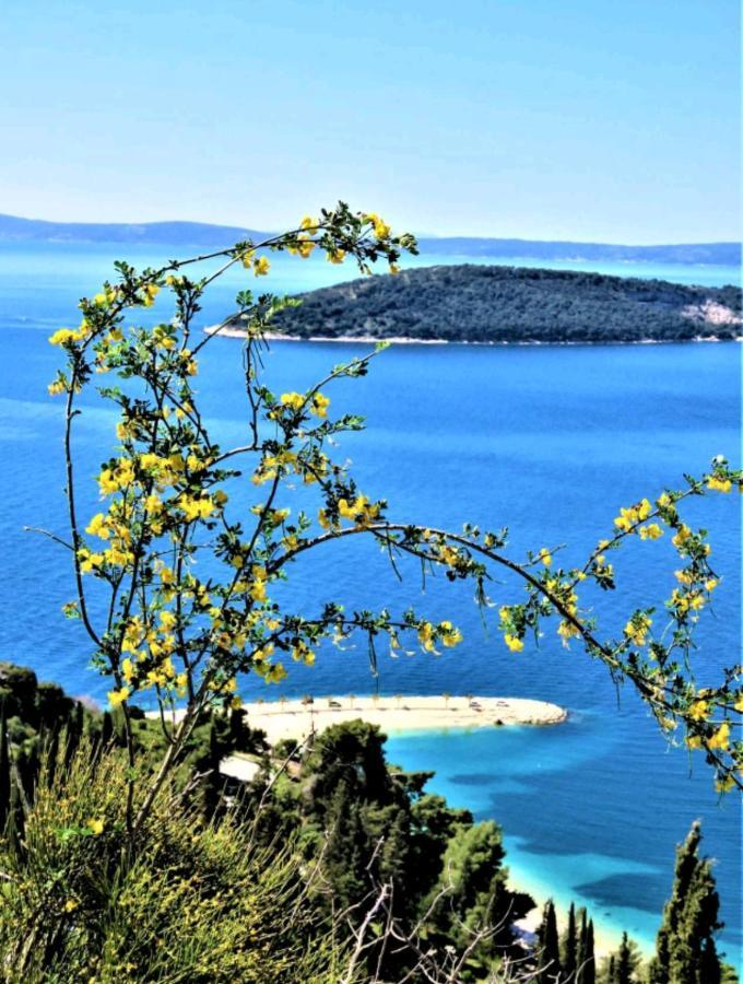 Apartment Vlatka Split Bagian luar foto